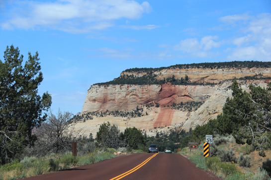 Day 15: Zion National Park